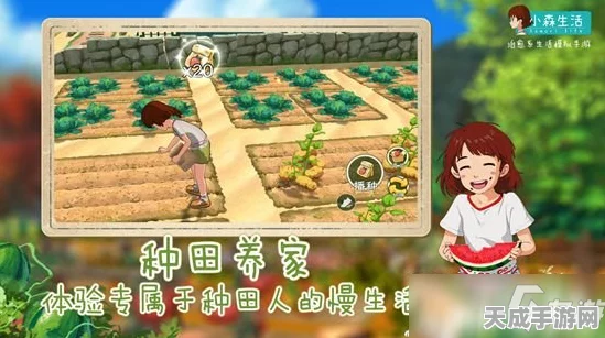 小森生活台服全揭秘，生活模拟新体验，精彩赛事等你来！