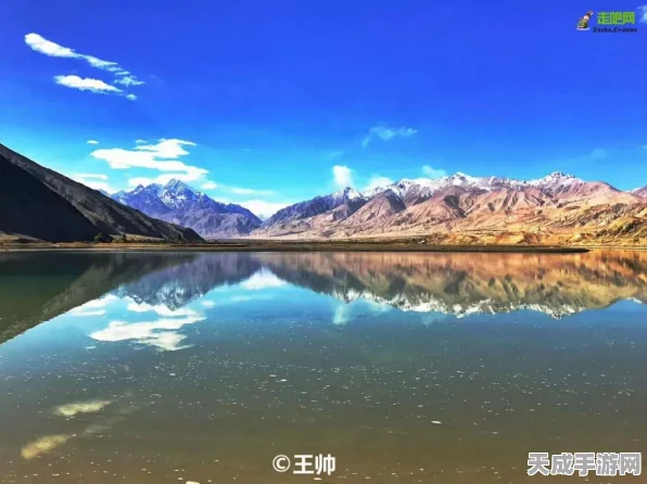 我的世界账号迁移全攻略，常见问题一网打尽，助你无缝切换！