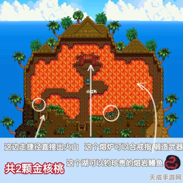 探秘星露谷物语，丛林神庙金核桃全攻略，解锁11个隐秘宝藏点！