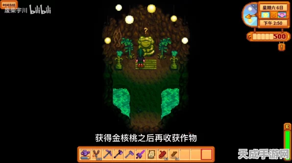 探秘星露谷物语，丛林神庙金核桃全攻略，解锁11个隐秘宝藏点！