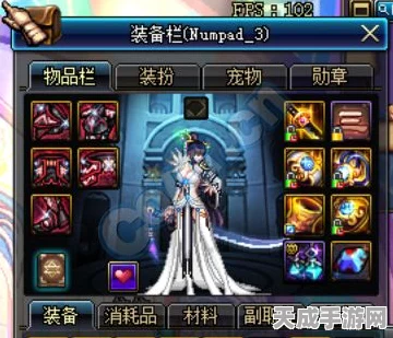 DNF剑宗高手必备，勋章选择深度剖析，打造极致攻防一体！