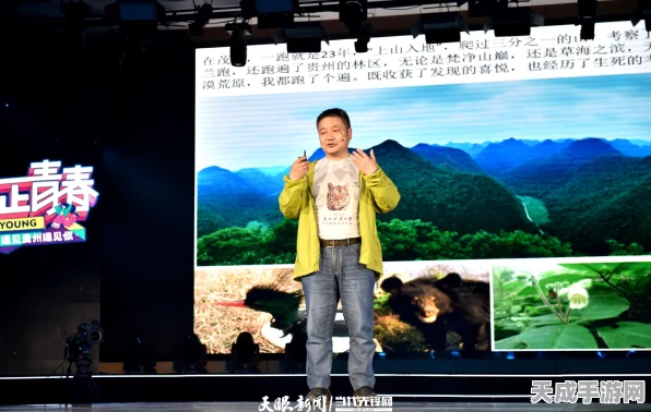 奇迹暖暖，荒原部落菠挞S赛事深度解析，顶级搭配策略助你征服时尚之巅
