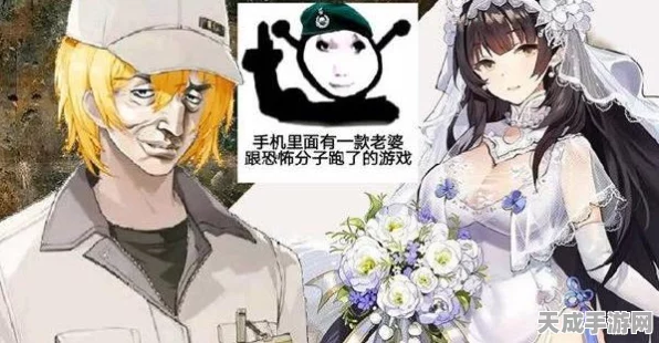 少女前线2，追放深度解析——顶尖玩家揭秘S级阵容搭配策略与实战技巧