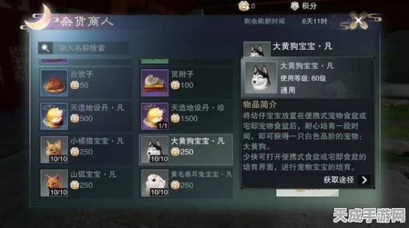 一梦江湖鉴宝令赠送攻略，解锁珍稀宝藏，传递友谊新风尚