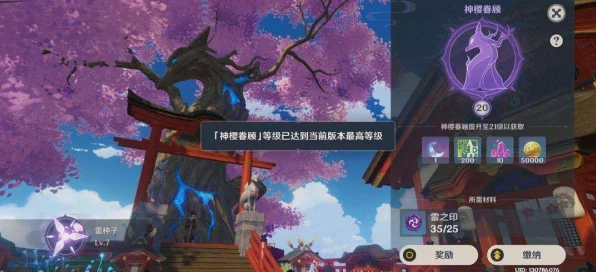 原神雷之印获取秘籍，解锁稻妻城隐藏宝藏的钥匙