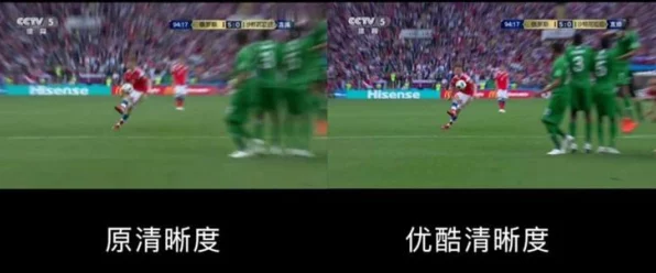 动物园之星流畅攻略，告别卡顿，打造完美动物园体验