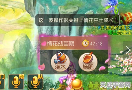梦幻西游手游，揭秘七彩情花获取攻略，解锁浪漫情缘！