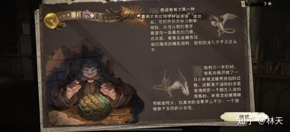 哈利波特，魔法觉醒——芙蓉的龙之战挑战全揭秘