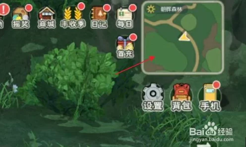 小森生活，朝晖森林全资源点坐标大揭秘，助你轻松探险！