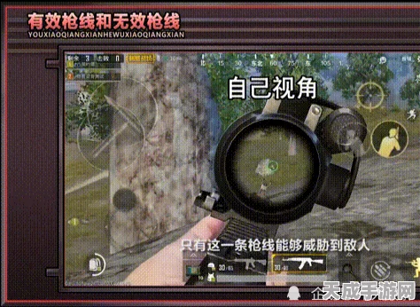 和平精英掷点战术揭秘，掌握随机中的制胜先机