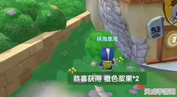 摩尔庄园手游，揭秘橙色浆果宝藏秘境，赢取稀有奖励攻略