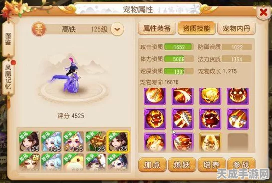 梦幻西游手游85级宠物搭配攻略，顶尖宠物推荐及养成策略