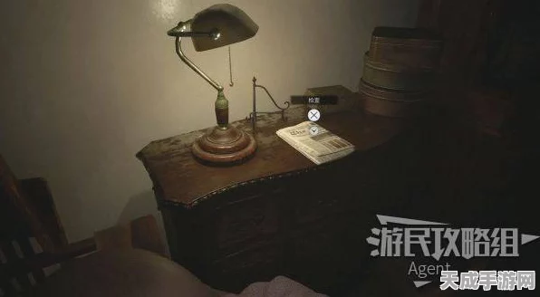 生化危机8胶片谜题全攻略，揭秘步骤顺序，助你无畏生化威胁
