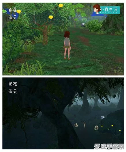 小森生活深度探索，揭秘对虾神秘栖息地，助你轻松捕获！