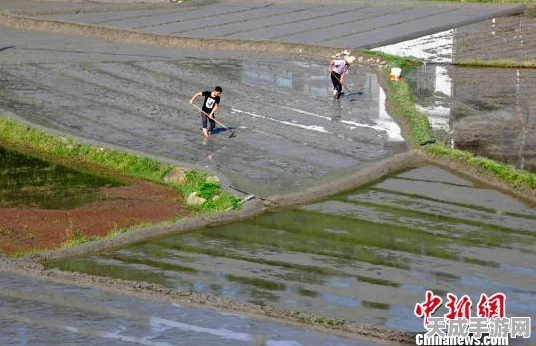 农耕帝国手游震撼上线，沉浸式耕作体验，打造你的农业传奇