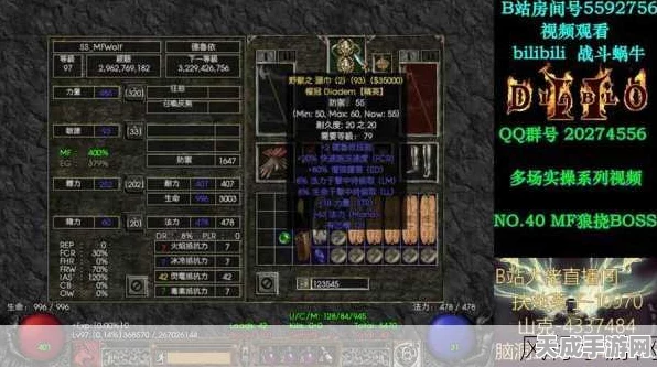 暗黑2高手秘籍，陷阱刺客全方位攻略大揭秘