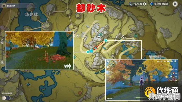 原神白梣木速刷攻略，解锁高效采集新技巧！