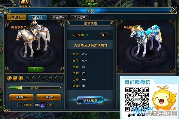 魔域战力飙升秘籍，解锁高效提升路径