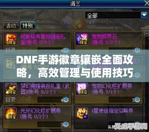 DNF手游深度解析，装备徽章镶嵌全攻略，打造顶级战斗力！