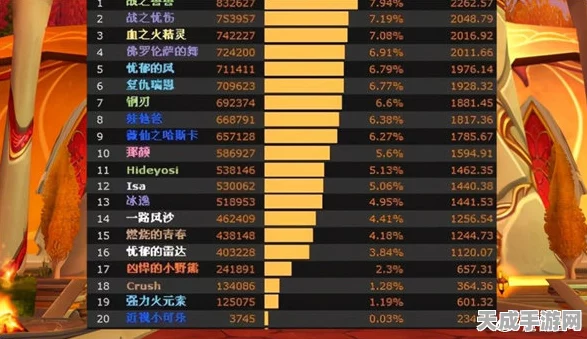 魔兽世界TBC怀旧服，职业输出争霸赛，揭秘输出王者！