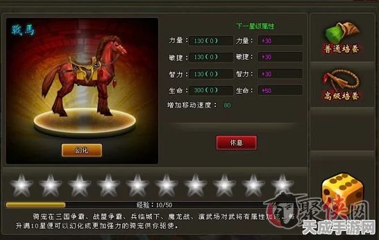 极无双武将许褚深度剖析，技能亮点与战场称霸秘籍