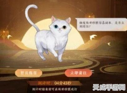 忘川风华录寻喵记解谜任务全攻略，揭秘猫咪踪迹，赢取珍稀奖励