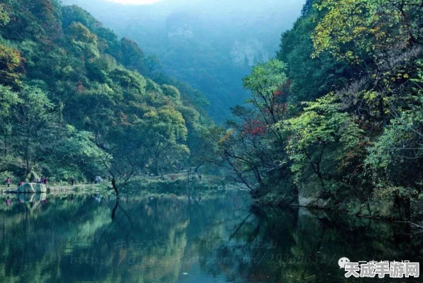 火影忍者OL探秘，川之国峡谷位置揭秘与探险攻略