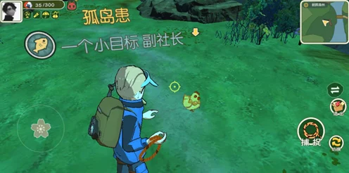 探秘小森生活，圈圈羊的栖息地大揭秘与高效捕捉攻略