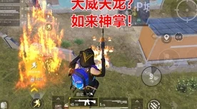 和平精英高手秘籍，揭秘拜佛枪法实战技巧与最新赛事应用