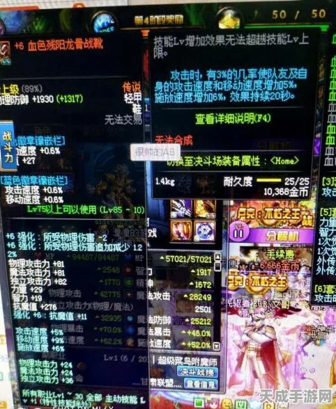 上古卷轴5深度解析，附魔艺术全揭秘及其实战应用