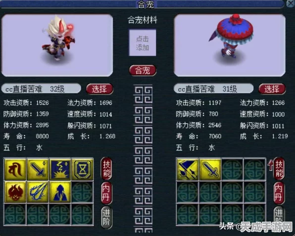 上古卷轴5深度解析，附魔艺术全揭秘及其实战应用