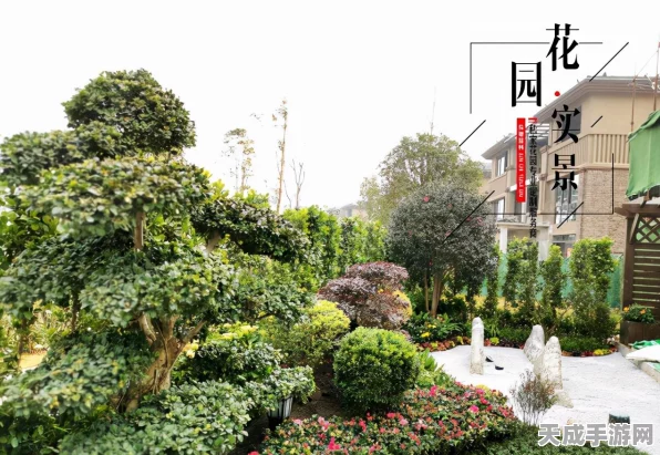 和平精英新春盛宴，园林活动全攻略，解锁隐藏奖励与趣味玩法