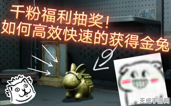 暗区突围，揭秘金兔空投神秘掉落时间，赢取豪华奖励攻略