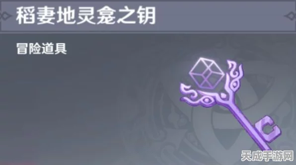 原神稻妻地灵龛之钥全攻略，解锁秘境宝藏，速通指南！