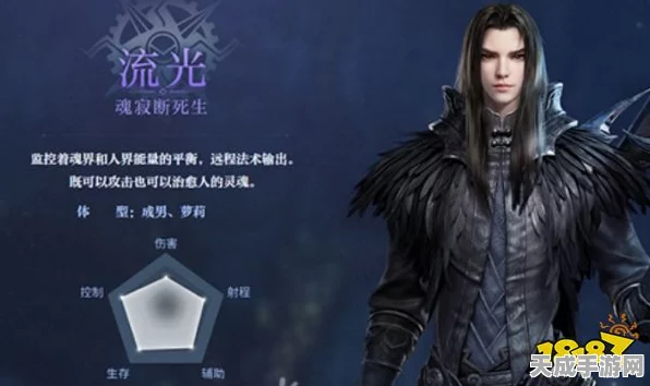 探秘天谕手游，流光与玲珑职业深度对比解析