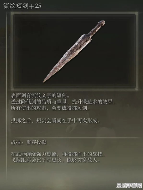艾尔登法环权杖大比拼，解锁战斗神器，揭秘顶级法师必备之选