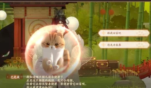 忘川风华录寻喵记全攻略，解锁猫咪奇遇，赢取珍稀奖励