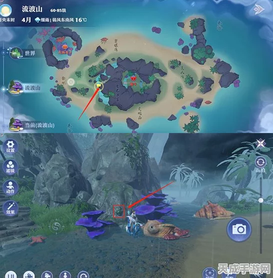 梦幻新诛仙深度探索，流波山探灵位置全揭秘及攻略指南