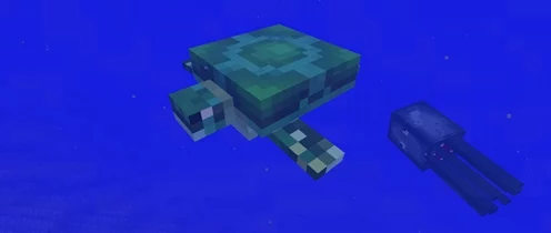 我的世界海龟壳获取攻略，探险海底世界的必备指南