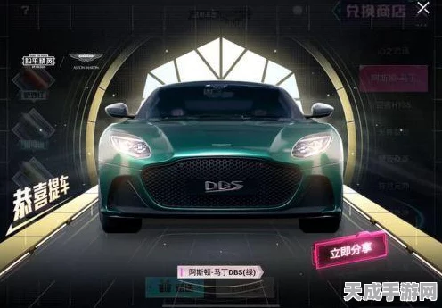 王者荣耀扭蛋币获取攻略，解锁稀有皮肤与道具的秘籍
