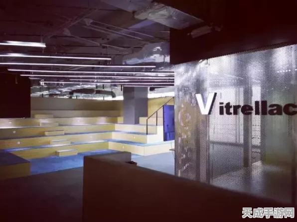 晶核游戏新手福音，开局职业选择深度剖析，解锁你的专属战斗风格