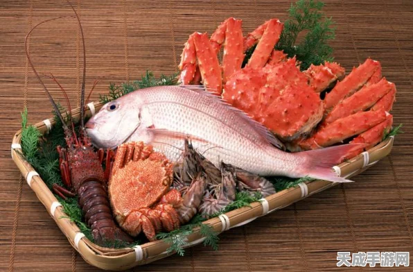 黎明之海，揭秘大嘴鲈鱼与美味姜片任务全攻略，解锁海洋美食奇遇！