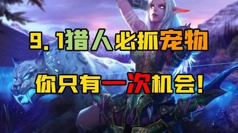 部落猎人必备！魔兽世界经典宠物捕捉指南