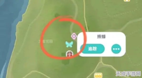 心动小镇熊蜂捕捉攻略，刷新点揭秘与技能加点秘籍