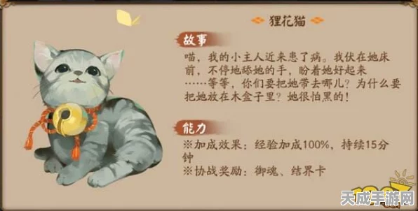阴阳师，揭秘柴犬亲密度30顶级奖励，解锁专属福利全攻略