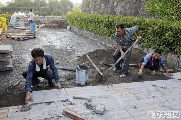 文明6深度攻略，市政树选择策略全揭秘，助你称霸全球