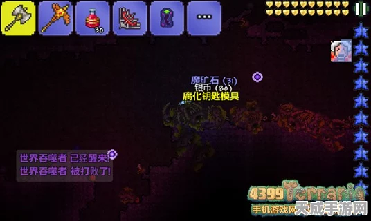 泰拉瑞亚灾厄版全面揭秘，地牢沙盒新纪元，wiki下载攻略大放送