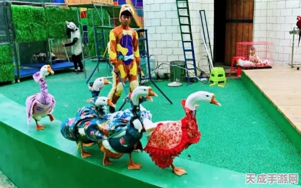 闪亮之名探秘，家园娃娃机精准定位与必胜攻略大公开