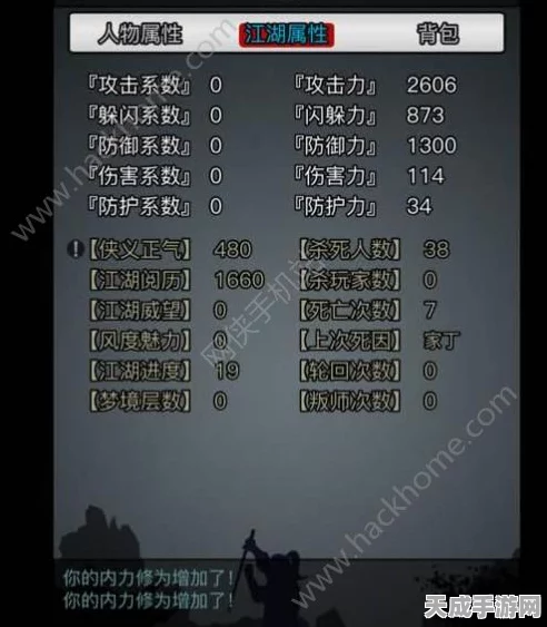 放置江湖散人攻略，解锁高效玩法，称霸江湖不是梦！