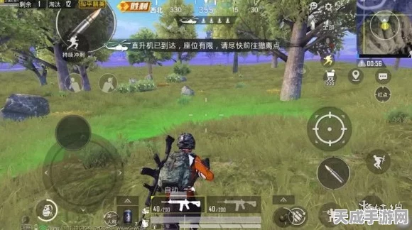 和平精英高手秘籍，九色鹿神器全解析与实战攻略